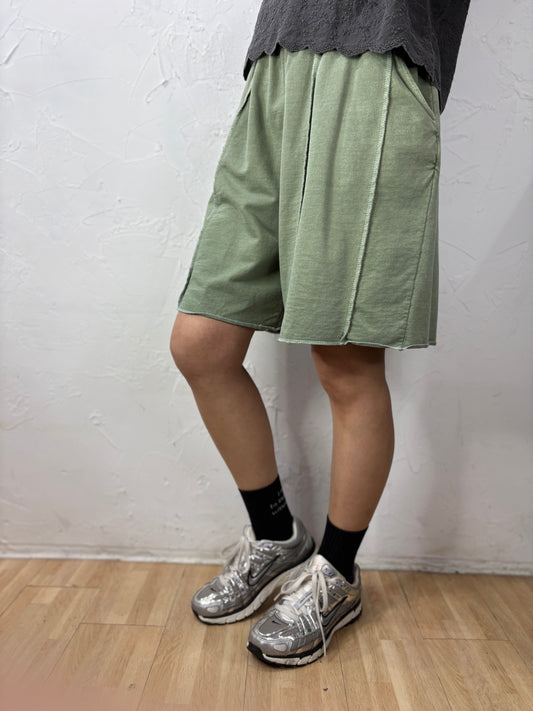Sporty Color Shorts