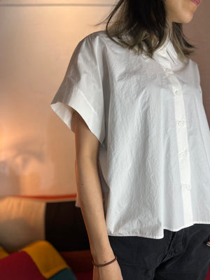 Pleated Back Shirt