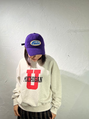 MICHIGAN Sweater