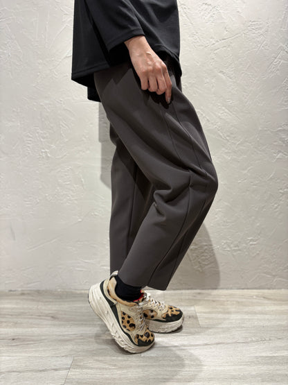 Slim Cut Non-iron Pants