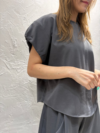 Ruffle Sleeves Top